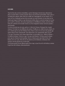 http://www.oliviercharpentier.com/files/gimgs/th-20_Texte planches pour site grisCORRIGE-4.jpg